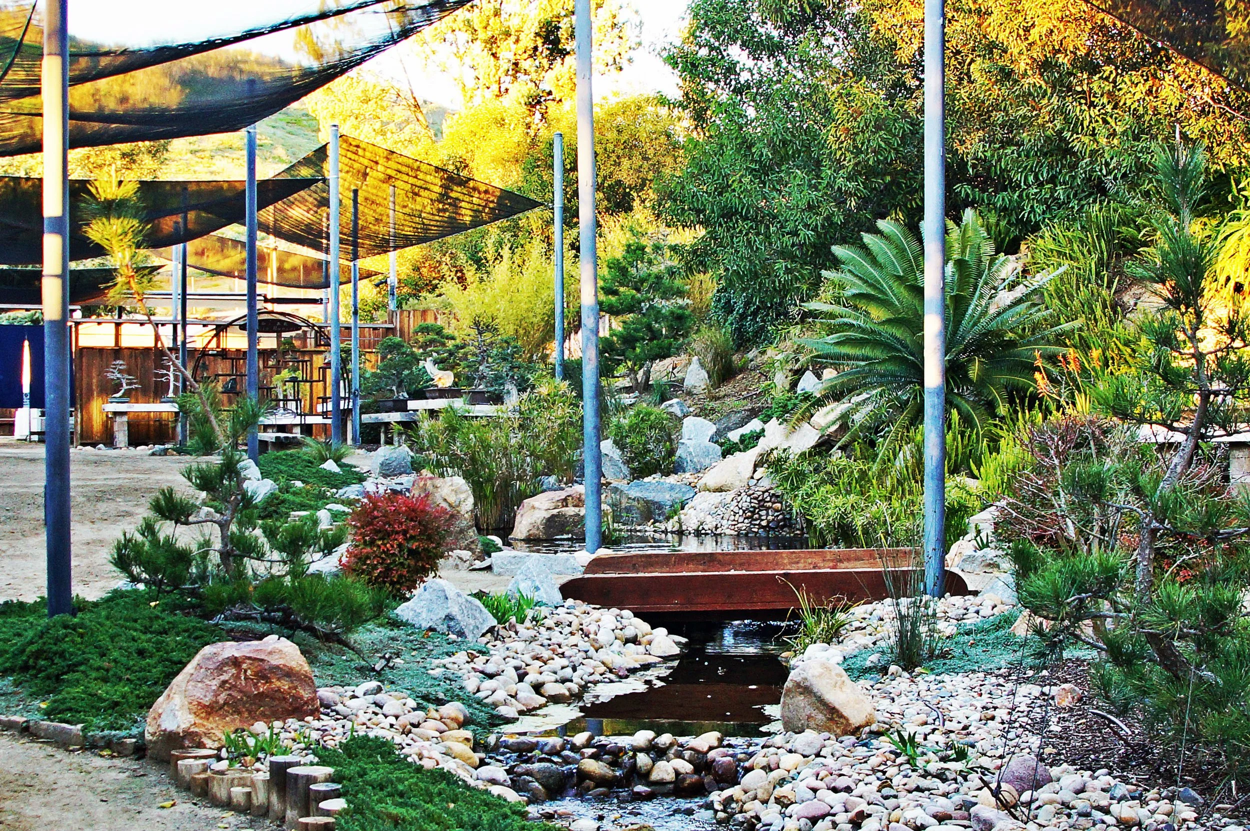 Bonsai Garden at the San Diego Zoo Safari Park — McCullough | San